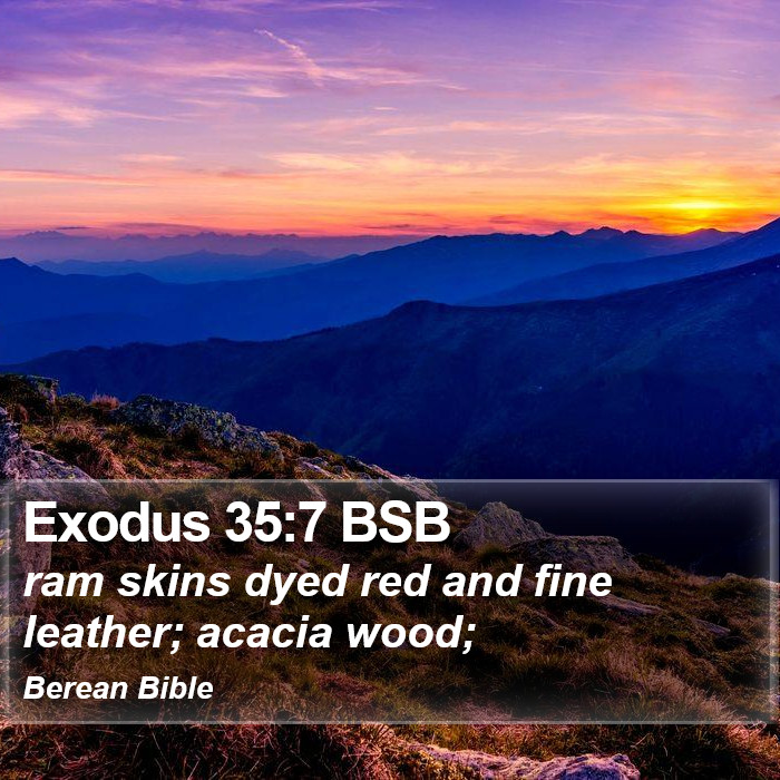 Exodus 35:7 BSB Bible Study