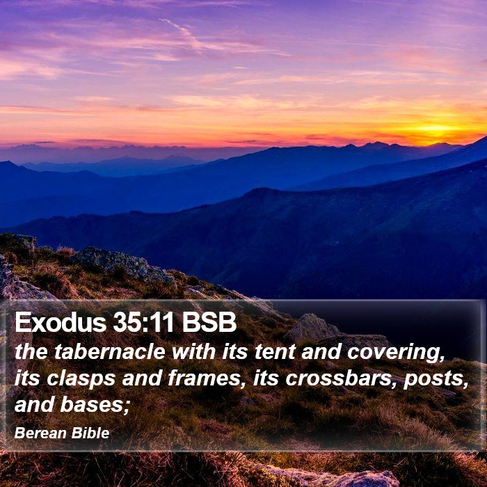 Exodus 35:11 BSB Bible Study