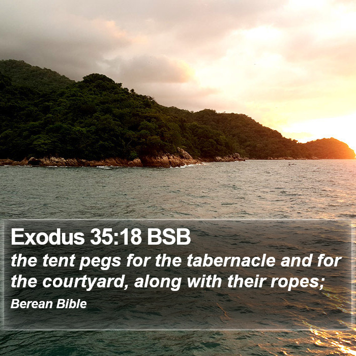 Exodus 35:18 BSB Bible Study