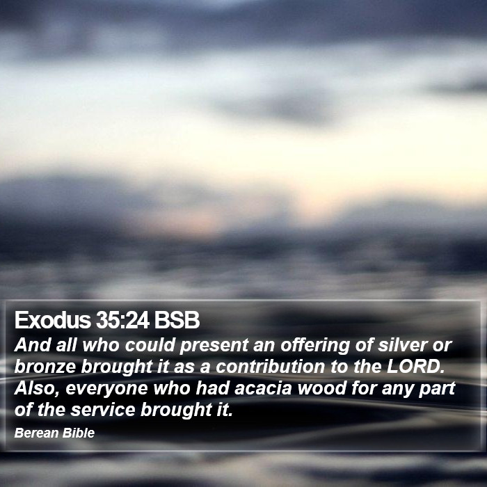 Exodus 35:24 BSB Bible Study