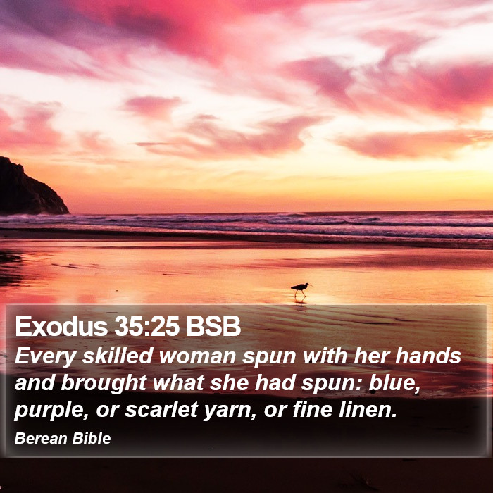 Exodus 35:25 BSB Bible Study