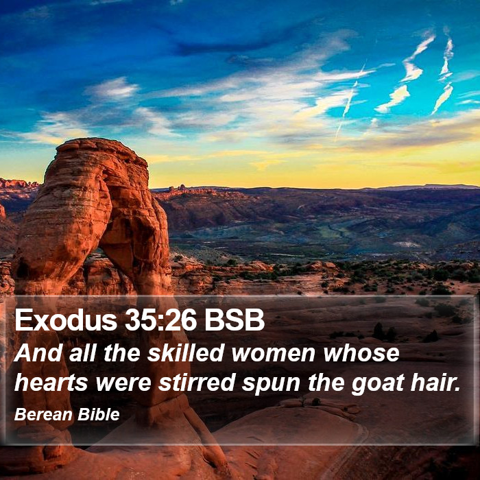 Exodus 35:26 BSB Bible Study