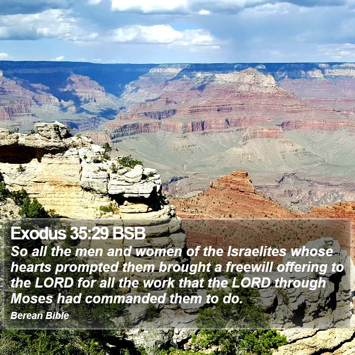 Exodus 35:29 BSB Bible Study