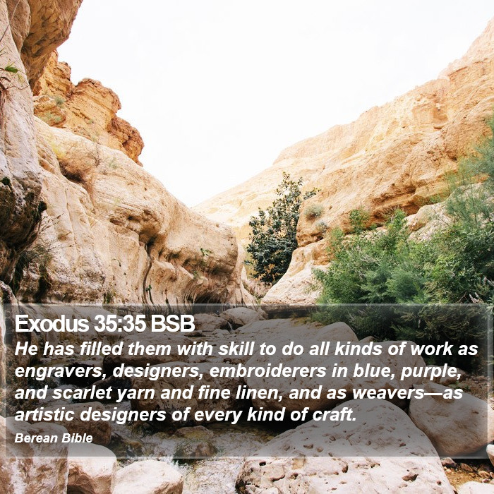 Exodus 35:35 BSB Bible Study