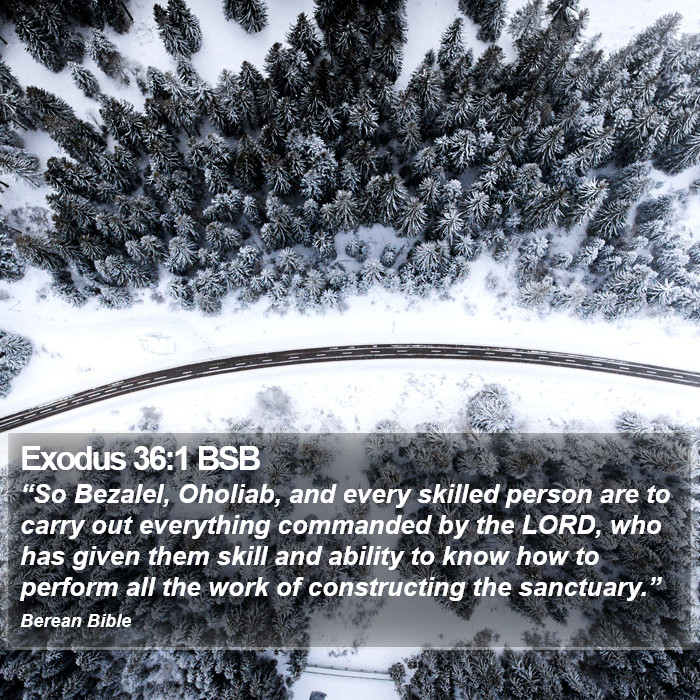 Exodus 36:1 BSB Bible Study