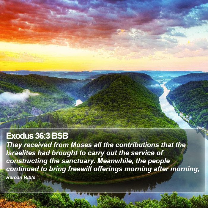 Exodus 36:3 BSB Bible Study