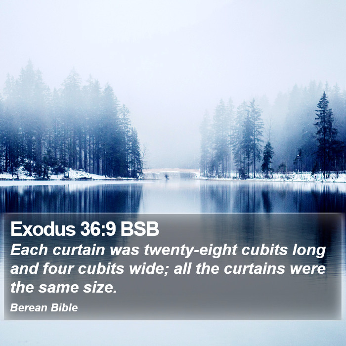 Exodus 36:9 BSB Bible Study