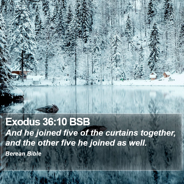 Exodus 36:10 BSB Bible Study