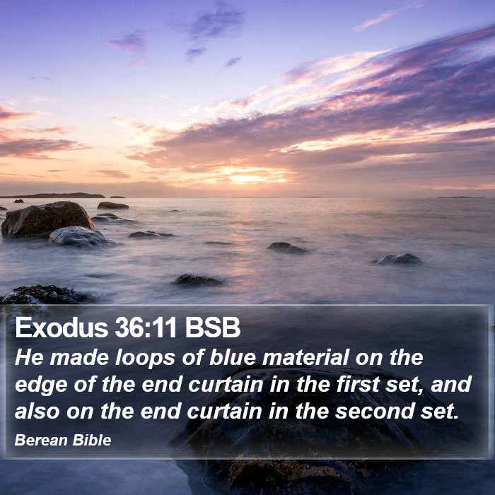 Exodus 36:11 BSB Bible Study