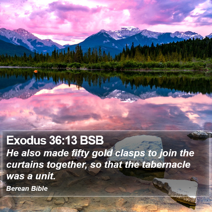 Exodus 36:13 BSB Bible Study