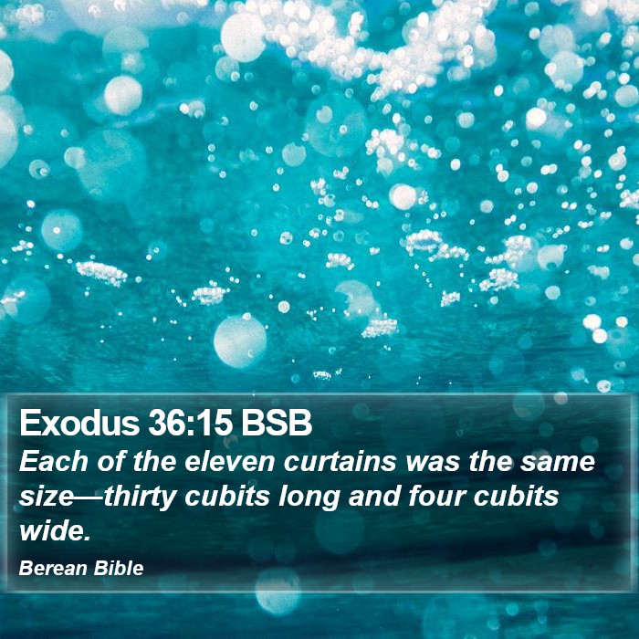 Exodus 36:15 BSB Bible Study