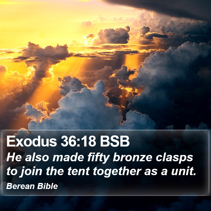 Exodus 36:18 BSB Bible Study