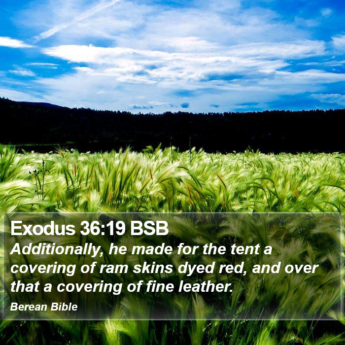 Exodus 36:19 BSB Bible Study