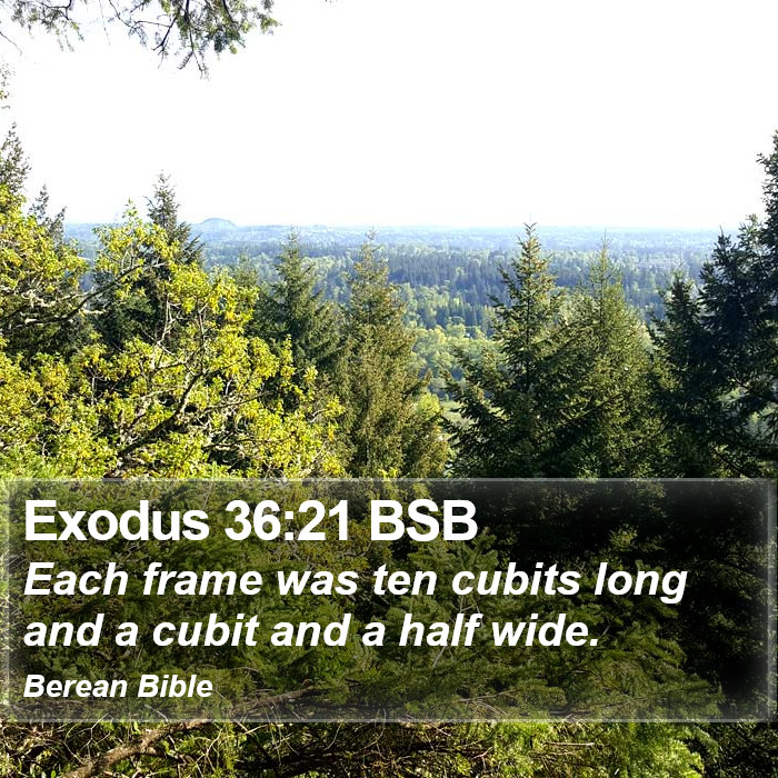 Exodus 36:21 BSB Bible Study