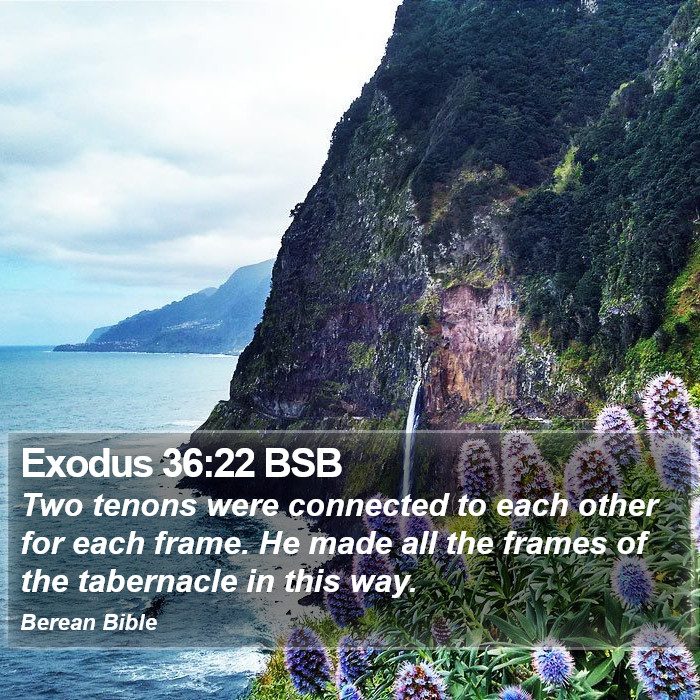 Exodus 36:22 BSB Bible Study