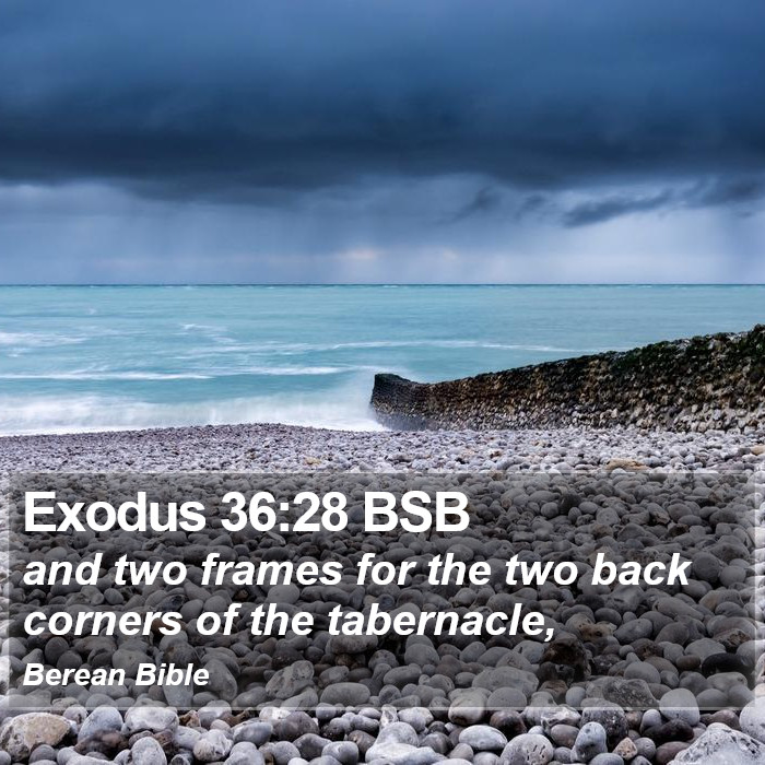 Exodus 36:28 BSB Bible Study