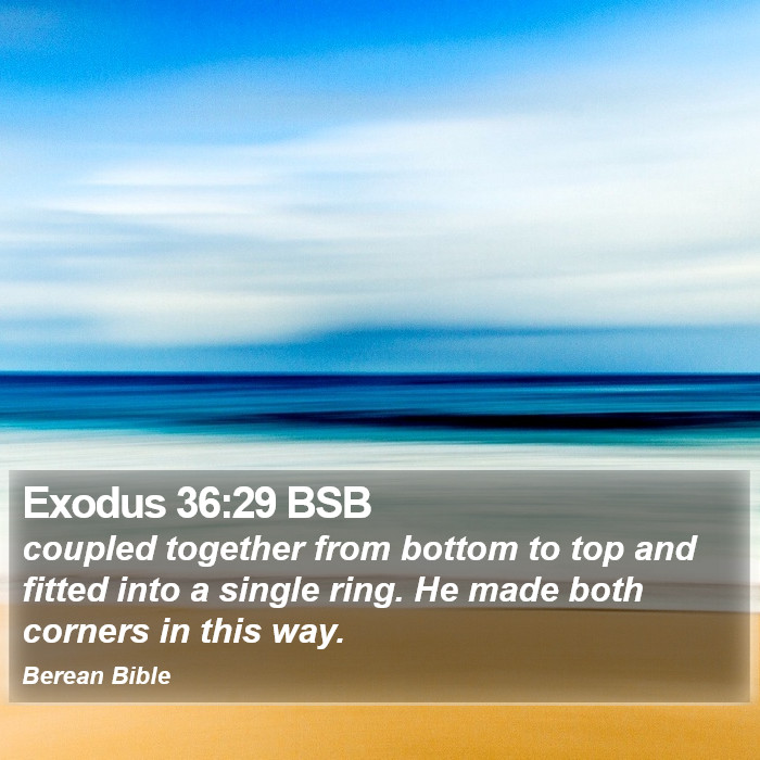 Exodus 36:29 BSB Bible Study