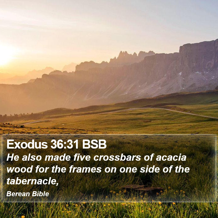 Exodus 36:31 BSB Bible Study