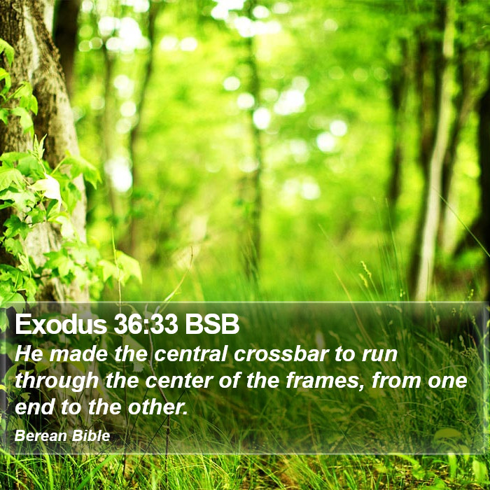 Exodus 36:33 BSB Bible Study