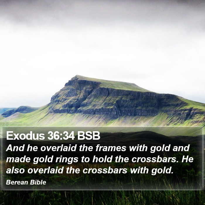 Exodus 36:34 BSB Bible Study