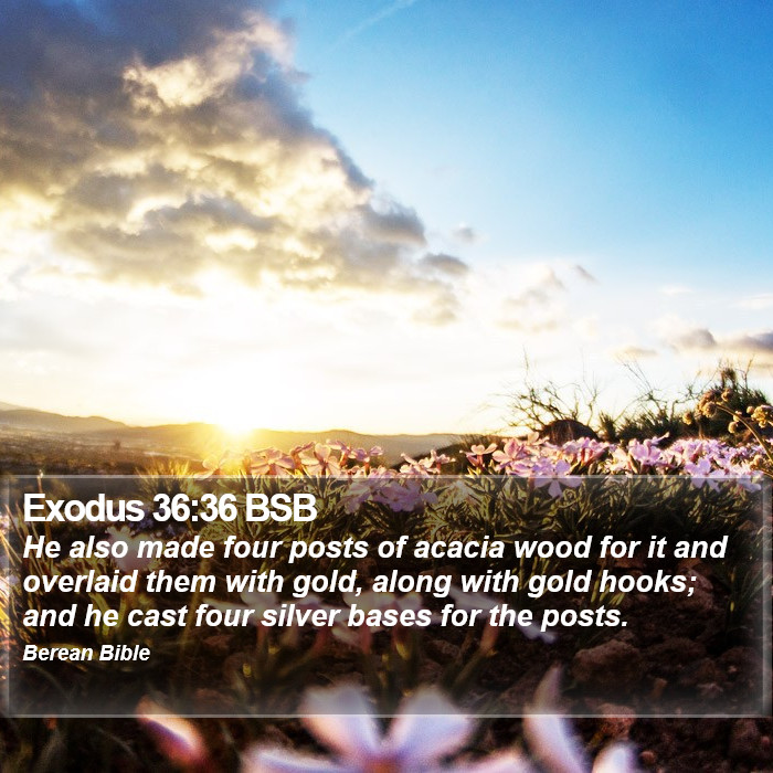 Exodus 36:36 BSB Bible Study