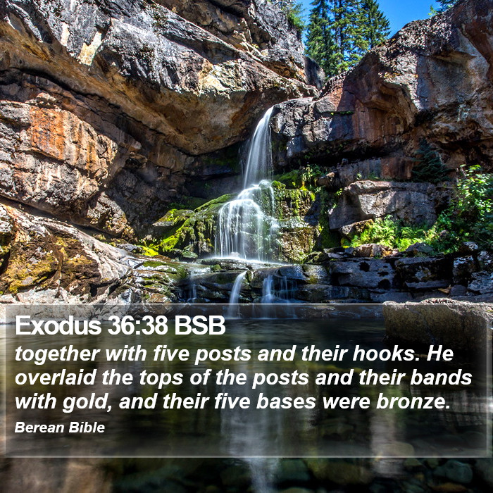 Exodus 36:38 BSB Bible Study