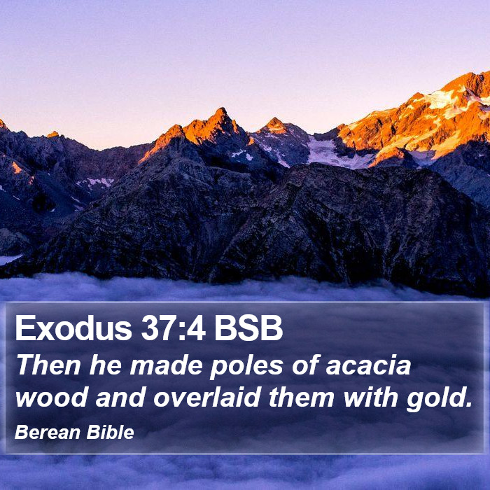 Exodus 37:4 BSB Bible Study