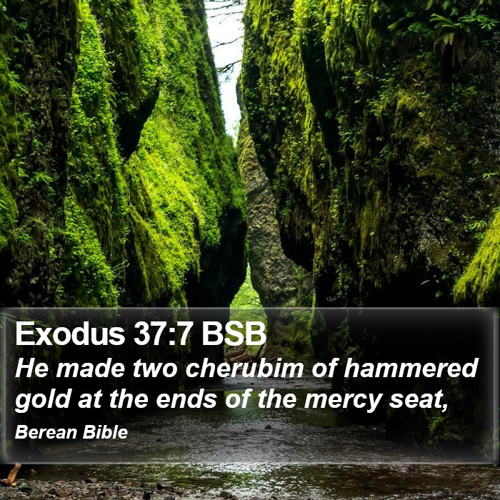 Exodus 37:7 BSB Bible Study