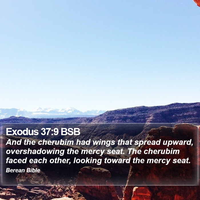 Exodus 37:9 BSB Bible Study