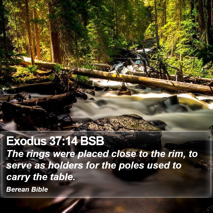 Exodus 37:14 BSB Bible Study