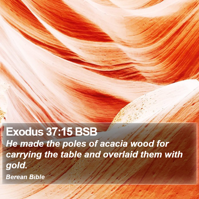 Exodus 37:15 BSB Bible Study