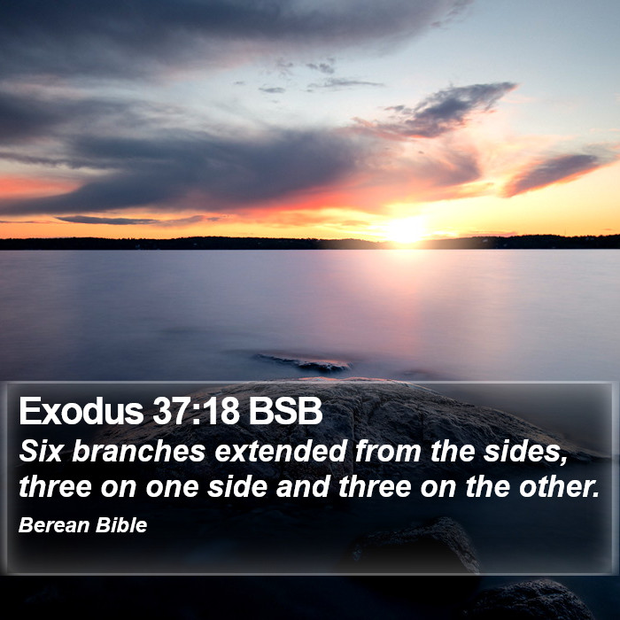 Exodus 37:18 BSB Bible Study