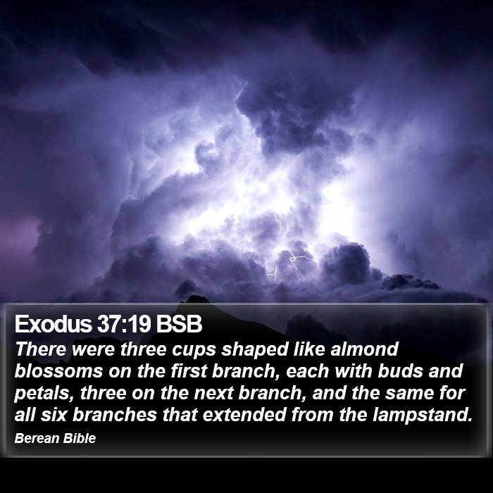 Exodus 37:19 BSB Bible Study