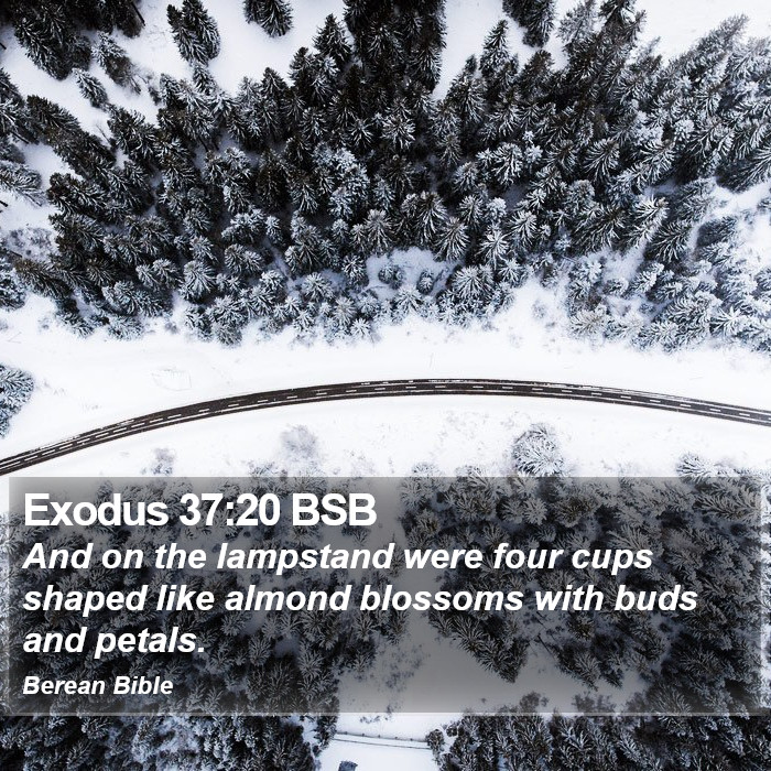 Exodus 37:20 BSB Bible Study