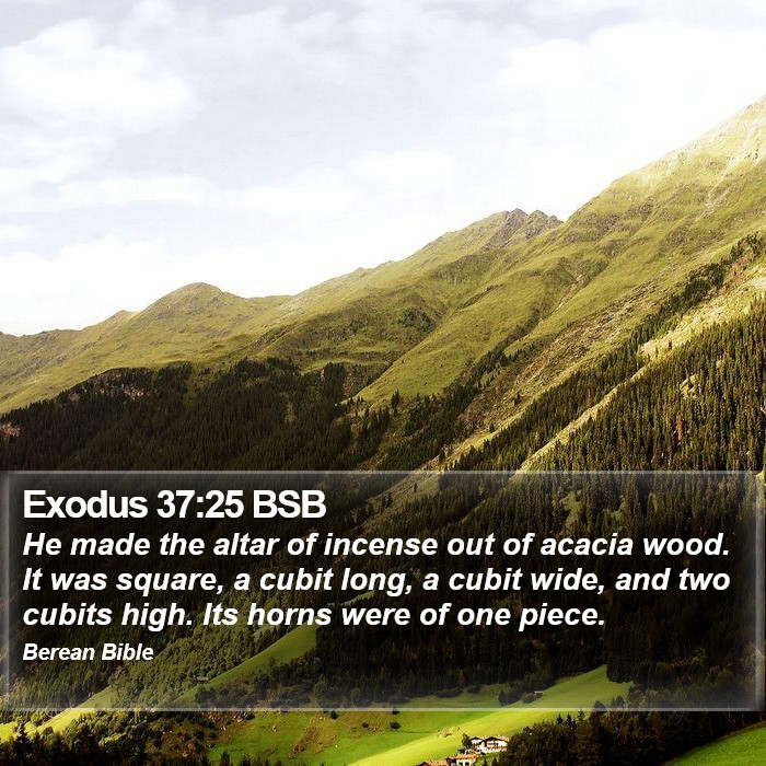 Exodus 37:25 BSB Bible Study