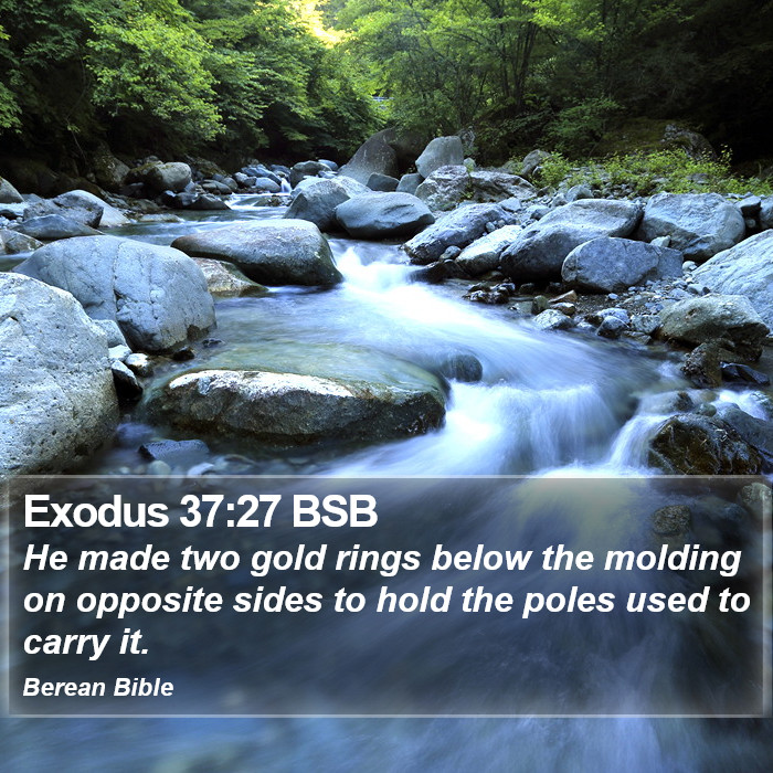 Exodus 37:27 BSB Bible Study