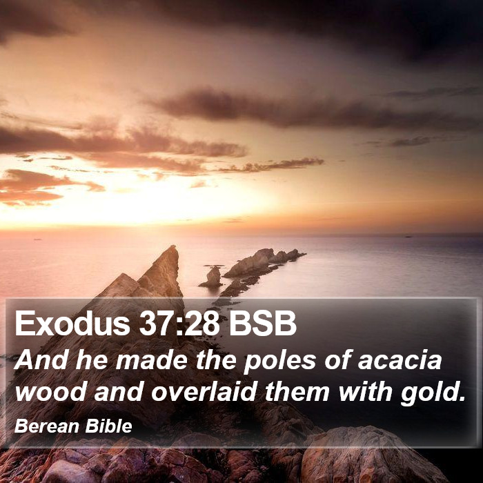 Exodus 37:28 BSB Bible Study