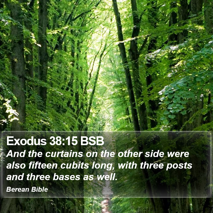 Exodus 38:15 BSB Bible Study