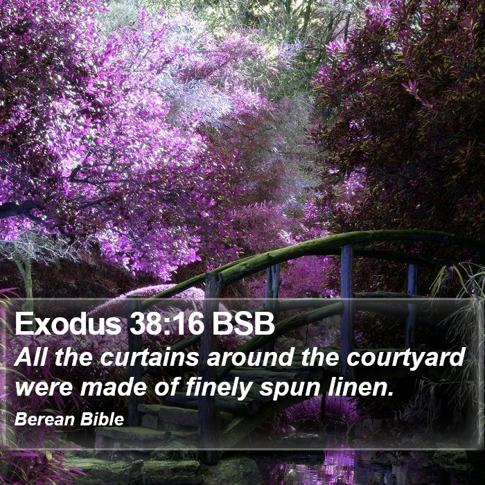 Exodus 38:16 BSB Bible Study