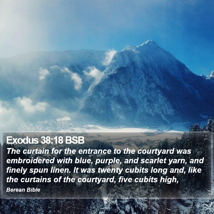 Exodus 38:18 BSB Bible Study