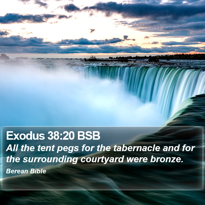 Exodus 38:20 BSB Bible Study