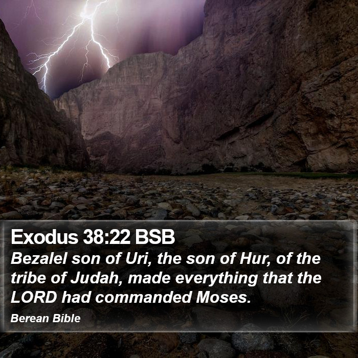 Exodus 38:22 BSB Bible Study