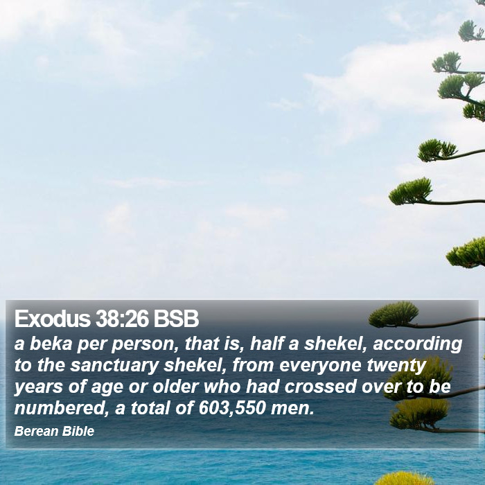 Exodus 38:26 BSB Bible Study