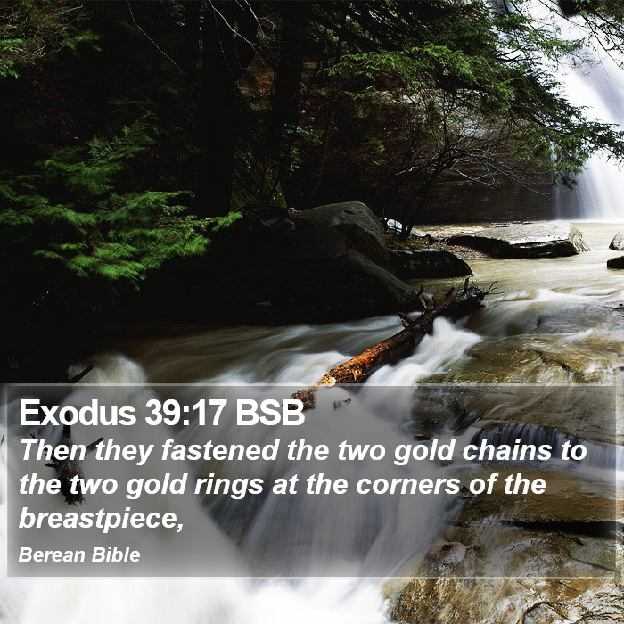 Exodus 39:17 BSB Bible Study