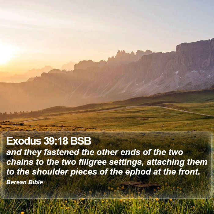 Exodus 39:18 BSB Bible Study