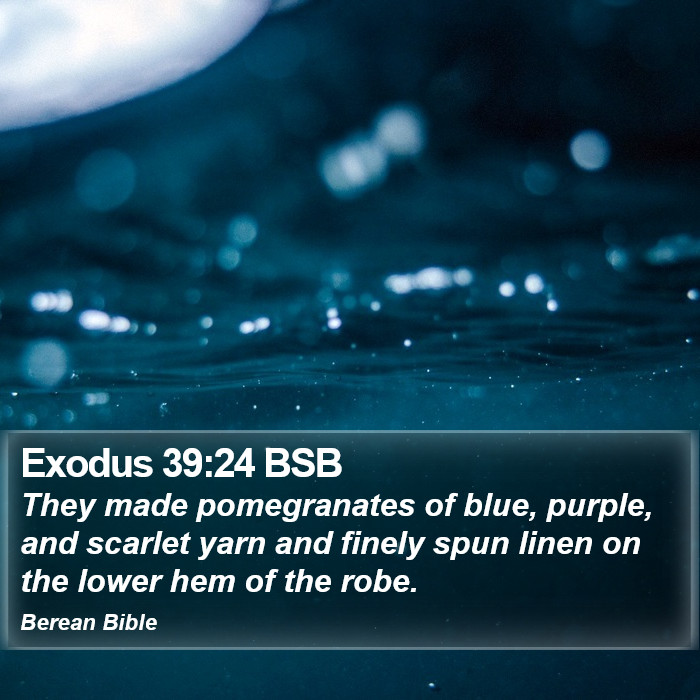 Exodus 39:24 BSB Bible Study