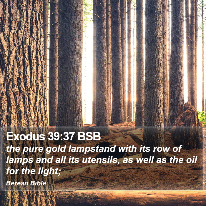 Exodus 39:37 BSB Bible Study