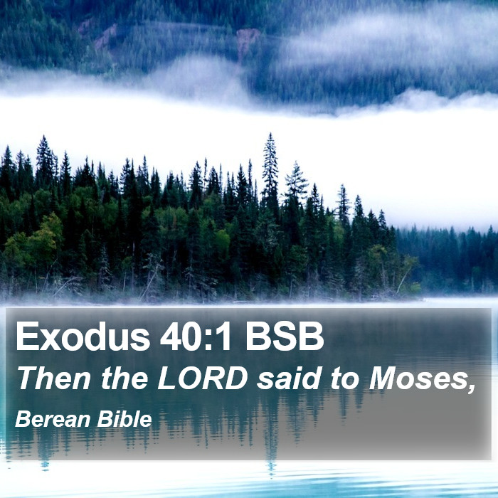 Exodus 40:1 BSB Bible Study