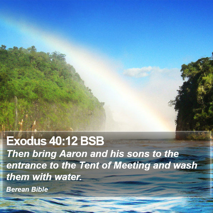 Exodus 40:12 BSB Bible Study