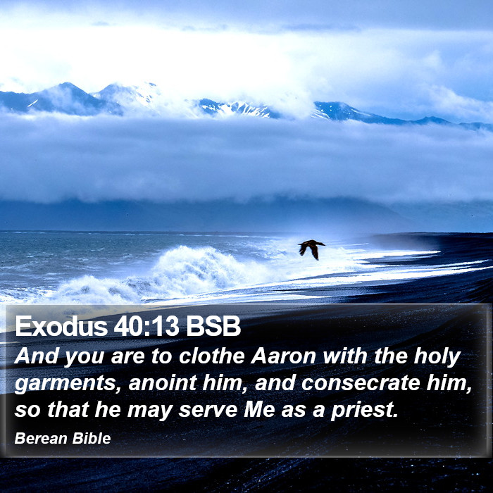 Exodus 40:13 BSB Bible Study